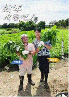 周末闯关营综艺封面